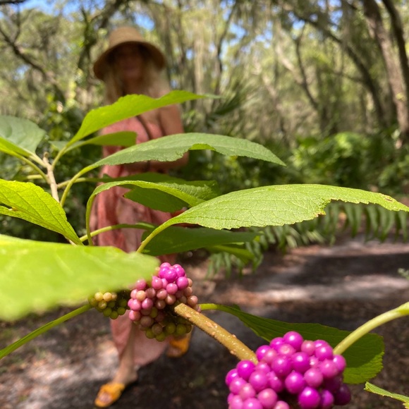 Meet your Posher, Oshen π¦π¬π§ - Picture 6 of 16